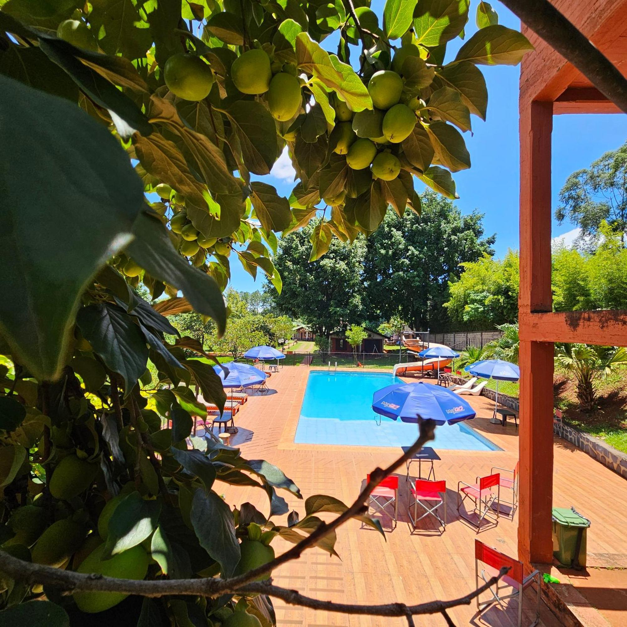 Cabanas El Refugio Del Mensu Пуэрто-Игуасу Экстерьер фото